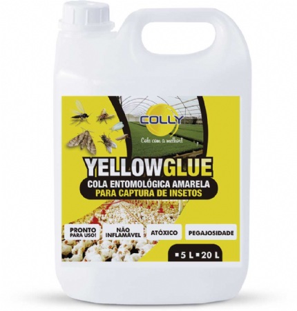 YELLOW GLUE
