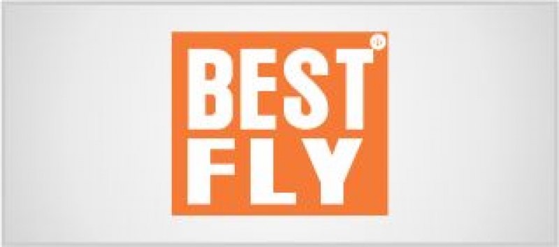 BEST FLY
